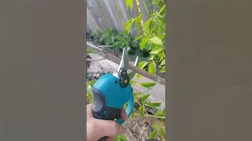 Садовый секатор аккумуляторный